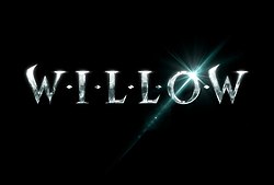 Willow Cricket